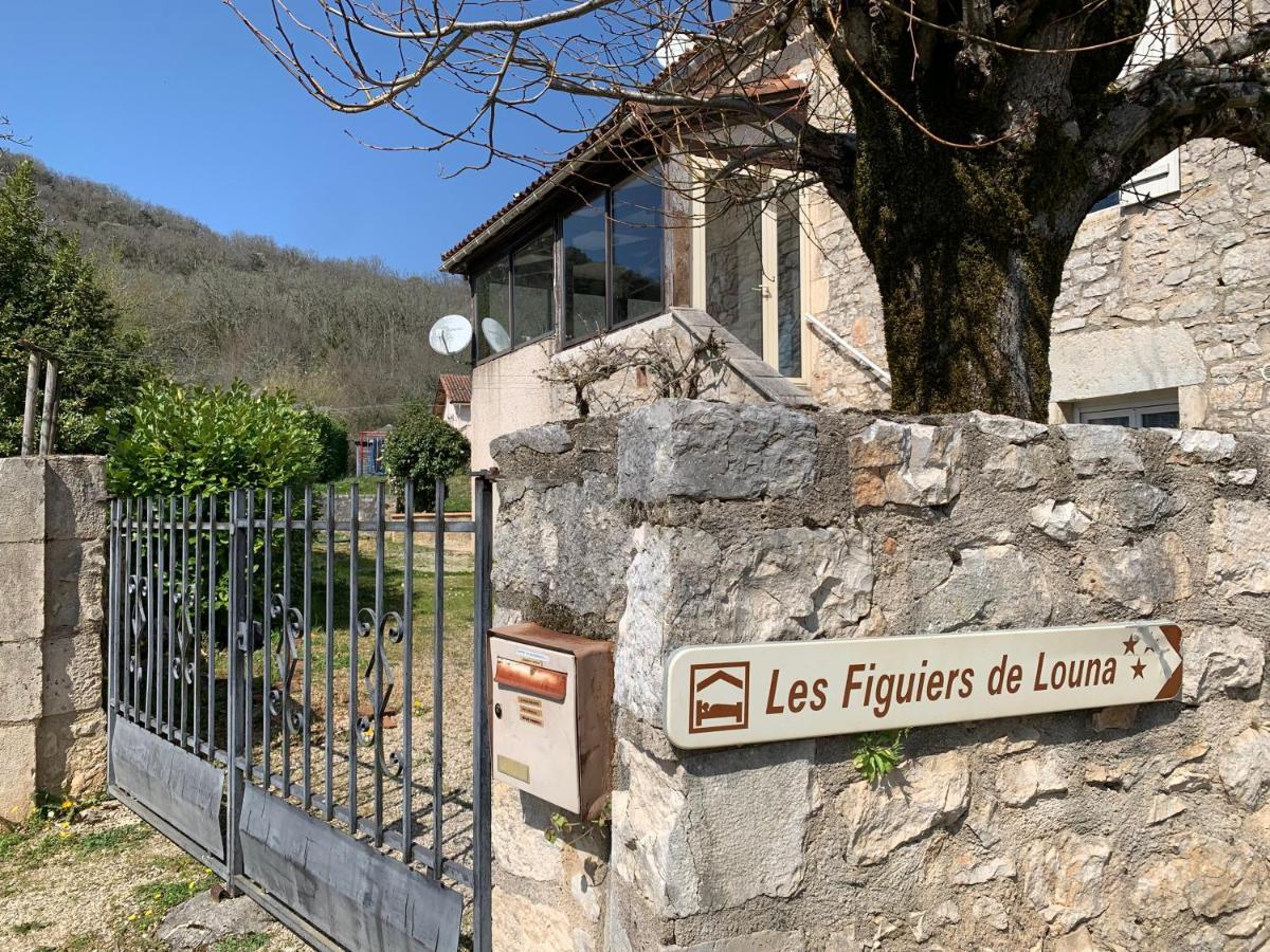 Les Figuiers De Louna - Pierre Ensoleillee - 110 M2 Et Une Veranda Saint-Géry Zewnętrze zdjęcie